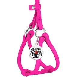 Шлея з повідцем для собак Waudog Glamour, шкіряна, кругла, з QR паспортом, 26-46х30-50х0,6/105 см, рожевий (34017) - мініатюра 2