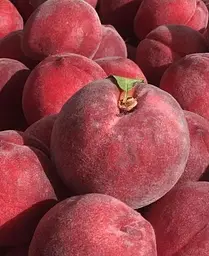 Саджанець Agro-Market Персик червоно-вишневий Королівський (Royal) (англійська селекція, преміальний великоплідний сорт) (39942) 1 шт. в упаковці - мініатюра 3