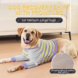 Костюм для відновлення собак Derby Stop Licking Dog Recovery Shirt, Purple, XL - мініатюра 3