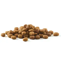 Сухий корм Purina One Indoor Bifensis з високим вмістом індички для дорослих котів, які живуть у приміщенні 1.4 кг - мініатюра 4
