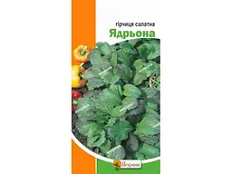 Гірчиця ЯСКРАВА салатна Ядрьона (20 пачок) 1г