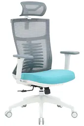 Офісне крісло OfficePro Balance OC550-W-DG-BL (OC550-W-DG-BL)