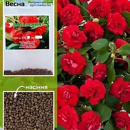 Бальзамін махровий червоний (Зипер) Весна 1г (12113)