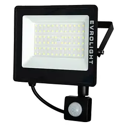 Прожектор EVROLIGHT FM-01D-50 50W 6400К - мініатюра 2