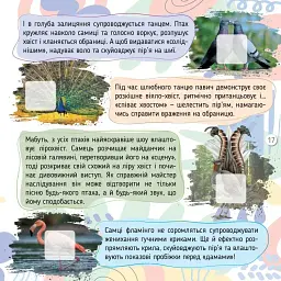 100 цікавинок. Комахи - Катерина Шаповалова - мініатюра 7