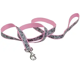 Coastal Lazer Brite Reflective Leash лазер брайт светоотражаючий повідок для собак 1.6см х 1.2м (SP46464_PNH04)