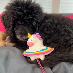 Іграшка для собак Max & Molly Snuggles Toy Magic Mikey - мініатюра 3