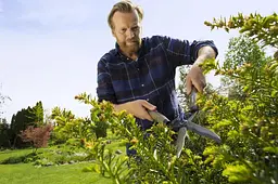 Ножиці для живоплоту Gardena NatureCut (12300-20.000.00) - мініатюра 4