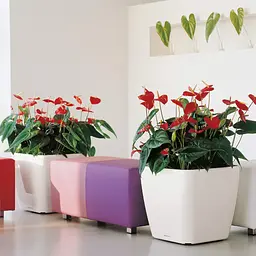 Вазон Lechuza Quadro Premium LS, 53 л, сіро-коричневий (16285) - мініатюра 6