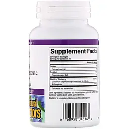 Концентрат чорниці Natural Factors BlueRich Super Strength 500 мг 90 капсул - мініатюра 2