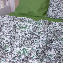 Наволочка MirSon Dollars 17-0589 бязь 45х45 см різнокольорова - мініатюра 5