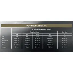 Колготки з імітацією панчох на підв'язках Penthouse - Special Extra Black XL - мініатюра 4