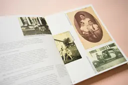 Лицар, дама, авангард - мініатюра 2
