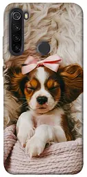 TPU чохол Demsky Sleepy spaniel для Xiaomi Redmi Note 8T