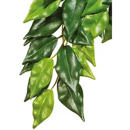 Декорація для тераріума Exo Terra рослина Ficus M шовк - мініатюра 2