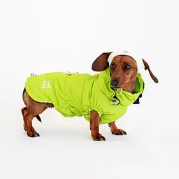 Вітровка для такс Hat-Dog неон (XL-Tubby/Хлопчик)