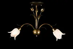 Люстра Splendid Ray L10294/2, 2 лампи E14, бронзова, висота 40 см, діаметр 60 см, сучасний стиль для дому