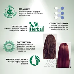 Гель-фарба Acme Color Beauty Phyto Color відтінок 671 горіховий 60 мл - мініатюра 4