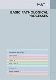 Wheater's Basic Pathology: A Text, Atlas, and Review of Histopathology. International Edition, 5th Edition - мініатюра 4