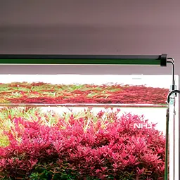 Світильник Chihiros B-Series B60 LED 60-80 см розумне RGB-освітлення для акваріума - мініатюра 7