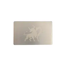 Металева пластина для зберігання сід-фрази Bull Run Mini Plate 55×90 мм + гравірувальна ручка (1 шт) - мініатюра 2
