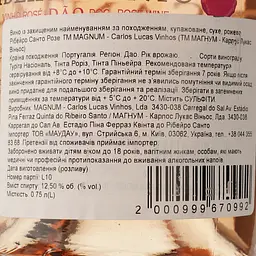Вино Magnum Ribeiro Santo Rose Cheek to Cheek DO Dao 2022 рожеве сухе 0.75 л - мініатюра 4