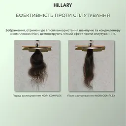 Набір для всіх типів волосся Intensive Hillary Nori Building and Strengthening - мініатюра 8