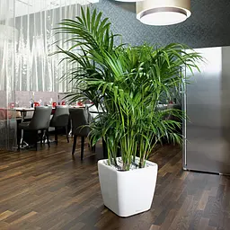 Вазон Lechuza Quadro Premium LS, 32 л, білий (16180) - мініатюра 6