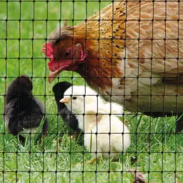 Сітка полімерна Tenax Aviary 2х10 м чорна (8002929120472) - мініатюра 4