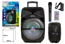 Колонка Big LT-1516 bluetooth + мікрофон (405х305х615) BT USB/MP3/FM/TWS black - мініатюра 6