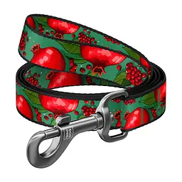 Повідець для собак WAUDOG Nylon "Гранати" S Ш 15 мм Д 300 см (760-4052)