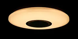 Люстра стельова LED Splendid Ray LY8339/24Wx2, 48W, білий, 40 см, з пультом і Bluetooth, сучасний стиль для дому - мініатюра 3
