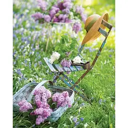 French Blooms. Floral Arrangements Inspired by Paris and Beyond - Сігман Сандра - мініатюра 2