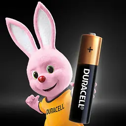 Лужні батарейки мізинчикові Duracell 1.5 V AAA LR03/MN2400, 18 шт. (737056) - мініатюра 3