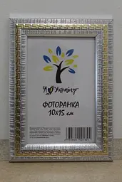 Фоторамка 10х15, срібна із золотою змійкою, 2416-120G, Скло + Картон
