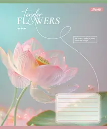 Упаковка зашитів 1В Tender Flowers учнівський загальний 10 шт./60 лін. (768083) - мініатюра 2