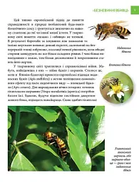 Енциклопедія для допитливих А5 : Найнебезпечніші істоти планети (Українська, 01 КРЕЙДОВАНА ) - мініатюра 3
