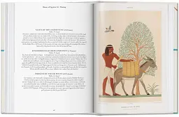 Prisse d'Avennes. Egyptian Art - мініатюра 7