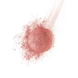 Рум'яна Bourjois Blush 16 2.5 г (8000018024413) - мініатюра 2