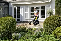 Повітродувка-пилосос Karcher BLV 18-200 Battery (1.444-100.0) - мініатюра 2