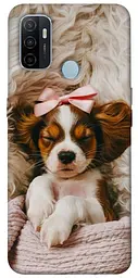 TPU чохол Demsky Sleepy spaniel для Oppo A53 / A32 / A33