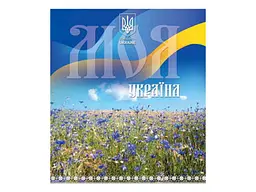Зошит в клітинку МРІЇ ЗБУВАЮТЬСЯ 96 арк. 8 шт./уп. арт.3629к Україна - мініатюра 2