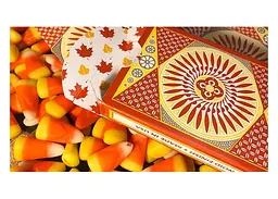 Карти гральні United States Playing Card Company Tally-Ho Autumn Circle Back (THACB) - мініатюра 7