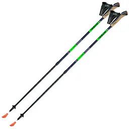 Палиці для скандинавської ходьби Gabel Stretch Carbon Синій-Зелений