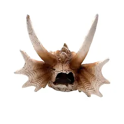 Декорація череп дракона Hobby Dragon Skull L 28,5×21,5×19,5 см для акваріума і тераріума (32076) - мініатюра 4