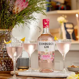 Джин Edinburgh Gin Rhubarb & Ginger 40% 0.7 л - мініатюра 3