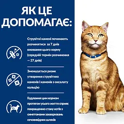 Вологий корм Hill's Prescription Diet c/d для котів, догляд за сечовидільною системою, з куркою, пауч, 85 г - мініатюра 3