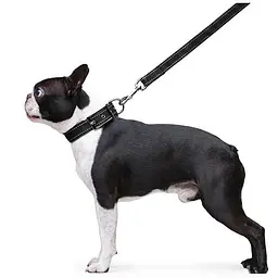 Повідець Dog Extreme з нейлону подвійний (ширина 20мм, довжина 122см), чорний - мініатюра 5
