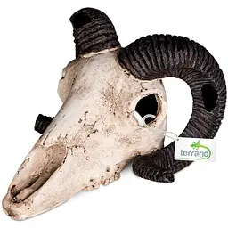 Декорація череп барана Terrario Ram Skull 19x16x11см (191712) - мініатюра 5