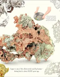 An Anthology of Our Extraordinary Earth - мініатюра 5